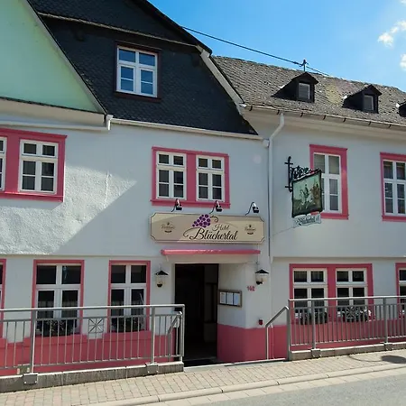 Bluechertal 3* Bacharach